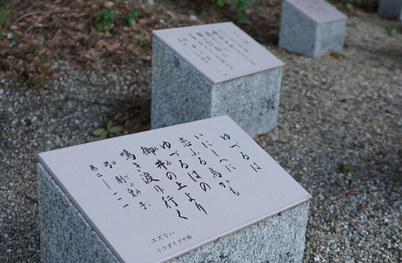 沙弥ナカンダ浜遺跡3