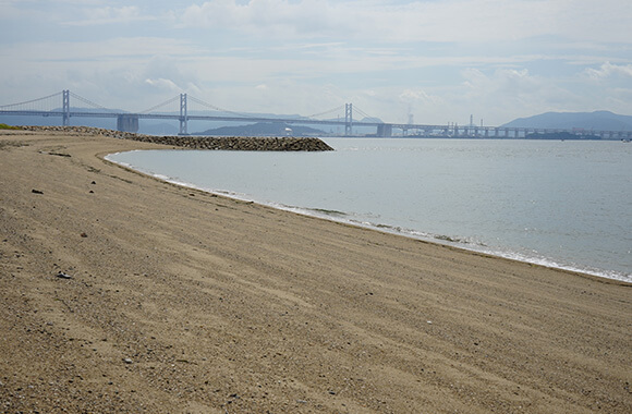 本島泊海岸3