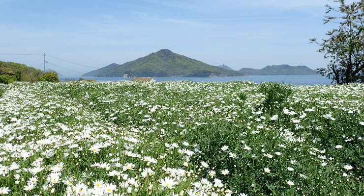 フラワーパーク浦島の写真