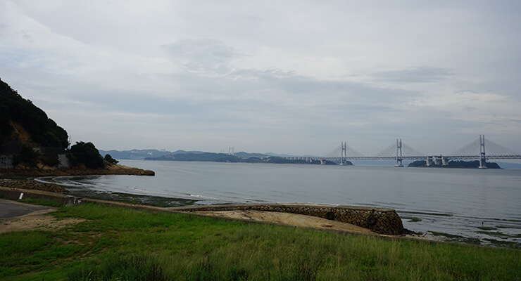 新在家海岸の写真