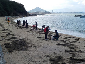 海ごみモニタリング調査4