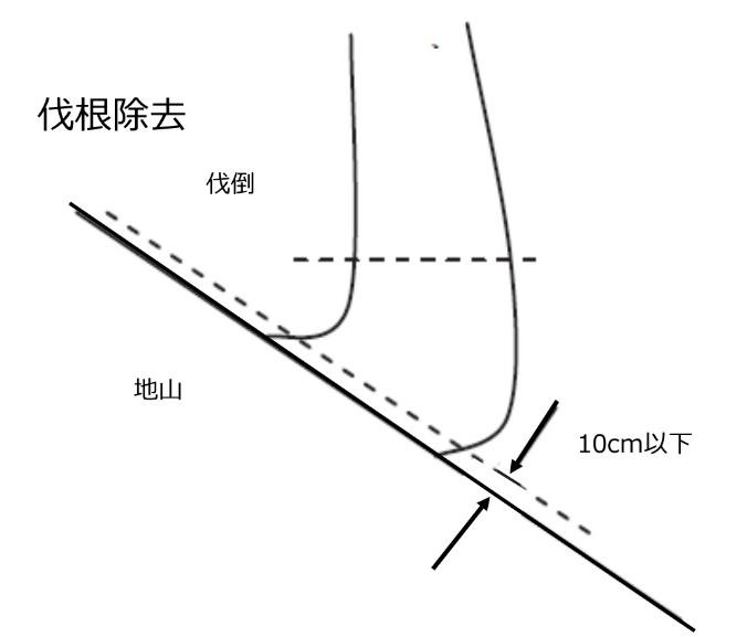 伐根除去