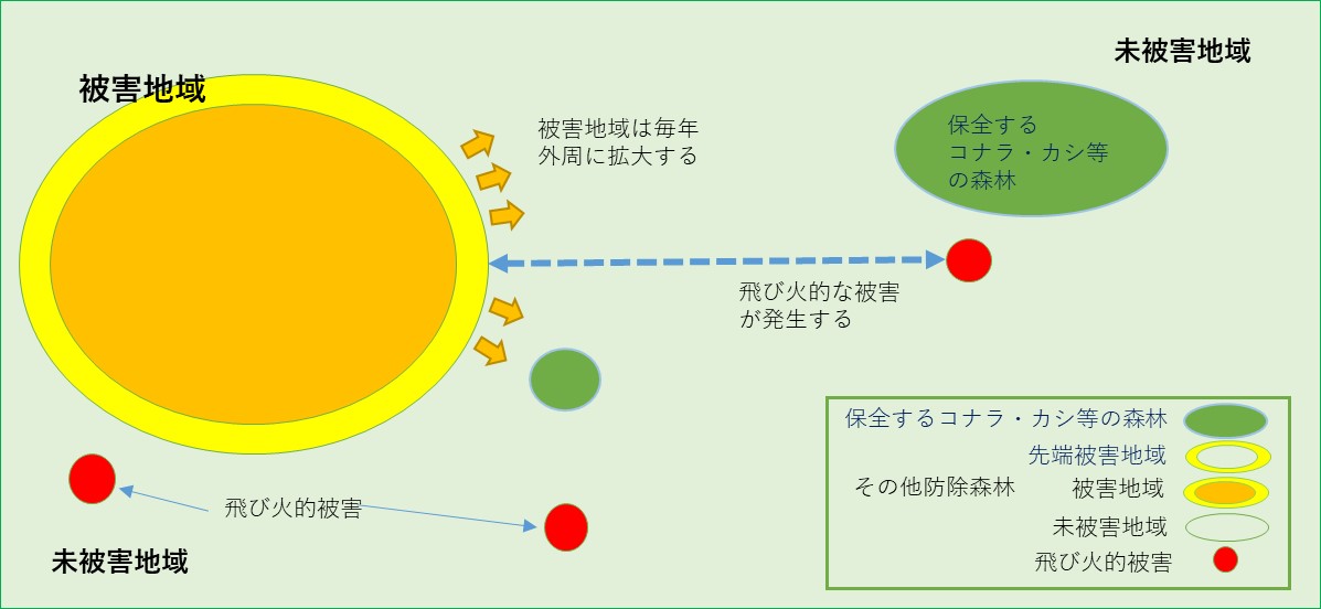 地域区分のイメージ