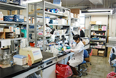 Research at university3