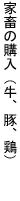 家畜の購入（牛、豚、鶏）