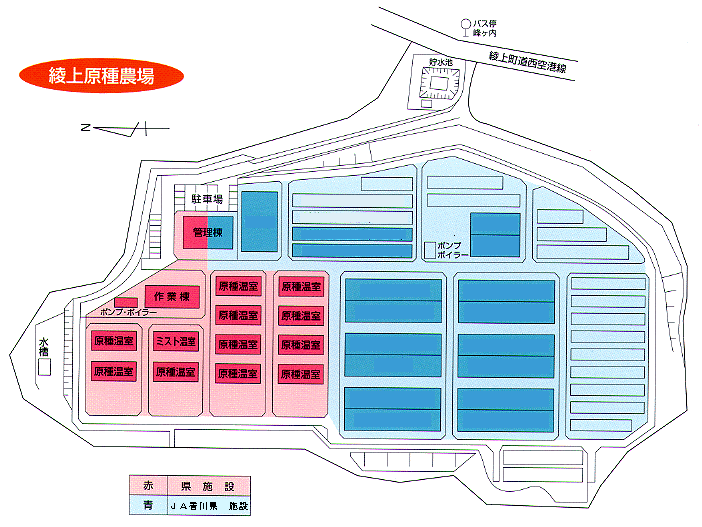 綾上原種農場　配置図