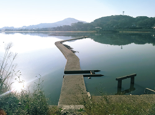 国市池の写真