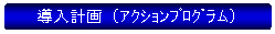 導入計画（アクションプログラム）