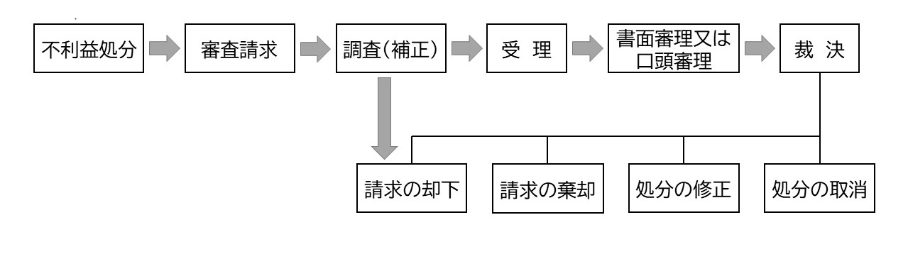 審査請求の手続フロー図