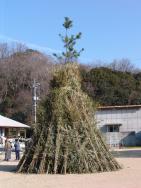 前日に育成会の大人たちがトンドを作る