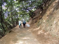 島内の巡拝路