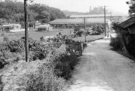 本浦地区の小学校