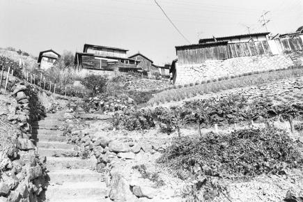 横尾地区の急斜面の畑と家の石垣