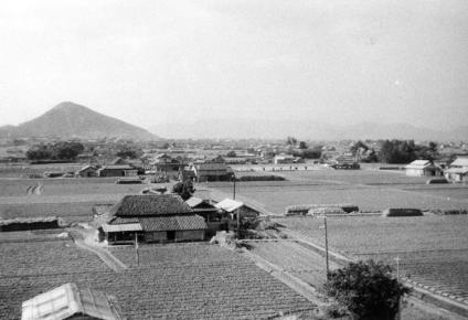 山田中学校屋上からの風景