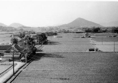 山田中学校屋上からの風景