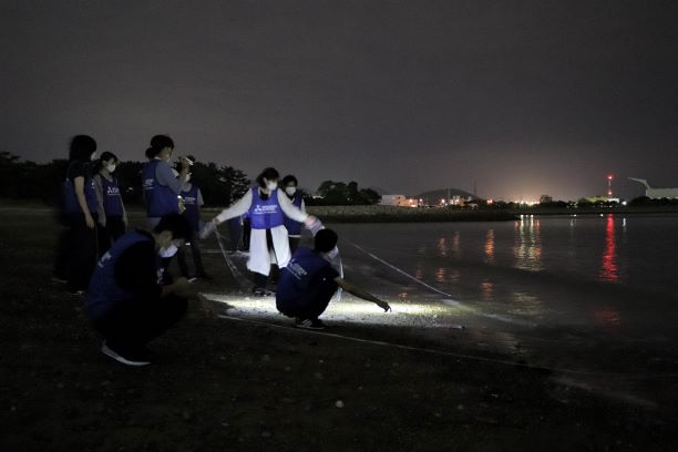 ウミホタル採集の写真