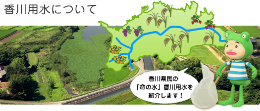 香川用水について 香川県民の「命の水」香川用水を紹介します！