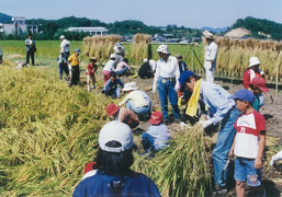 堂谷地区棚田を守る会の活動1