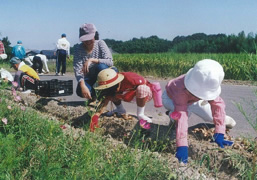 堂谷地区棚田を守る会の活動2