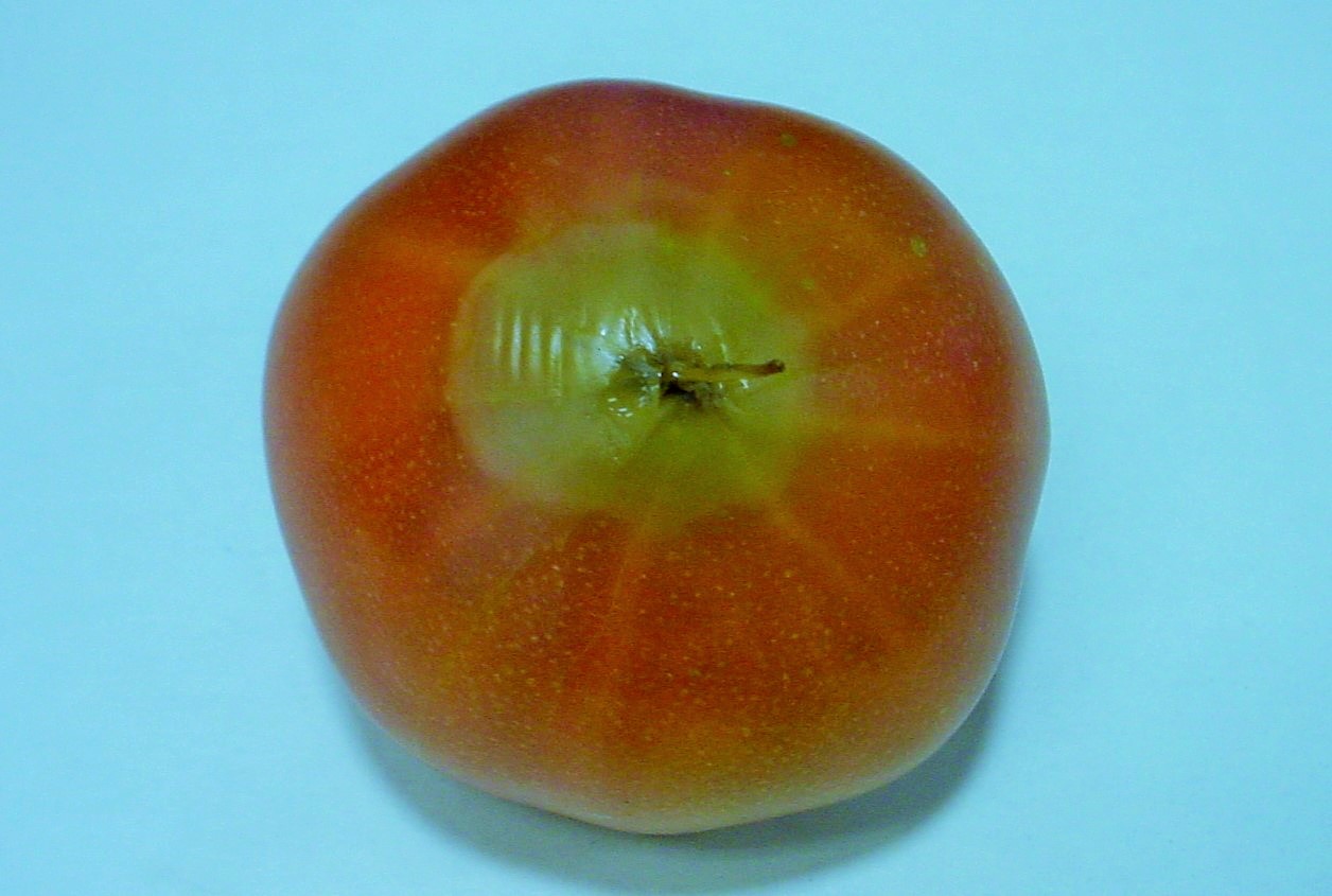2tomatohaikabi