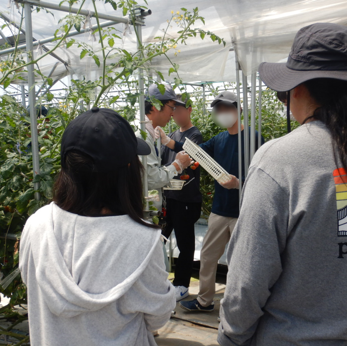 野菜園芸オープンキャンパス
