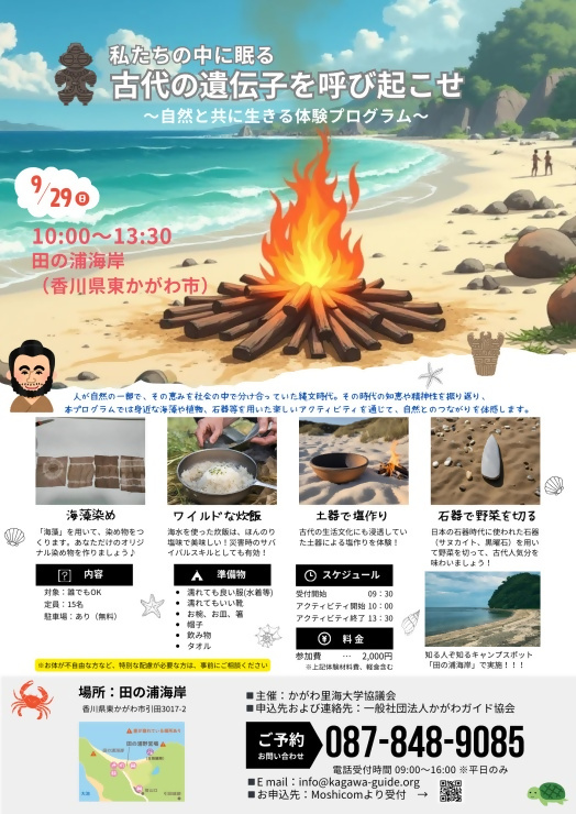 チラシ