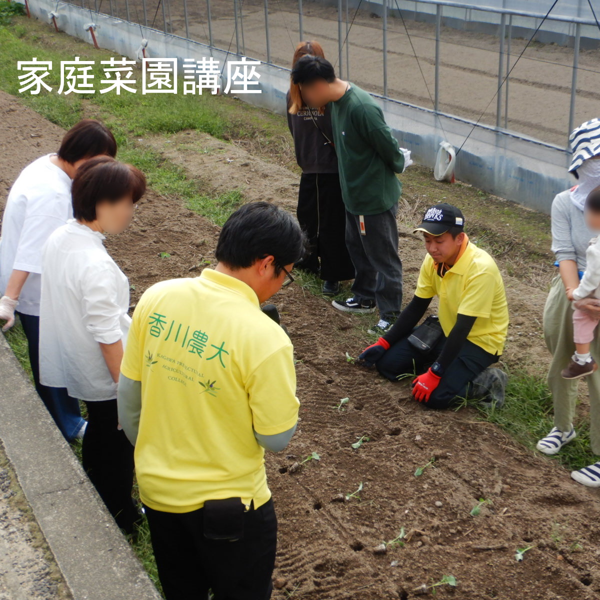 R6農大祭家庭菜園