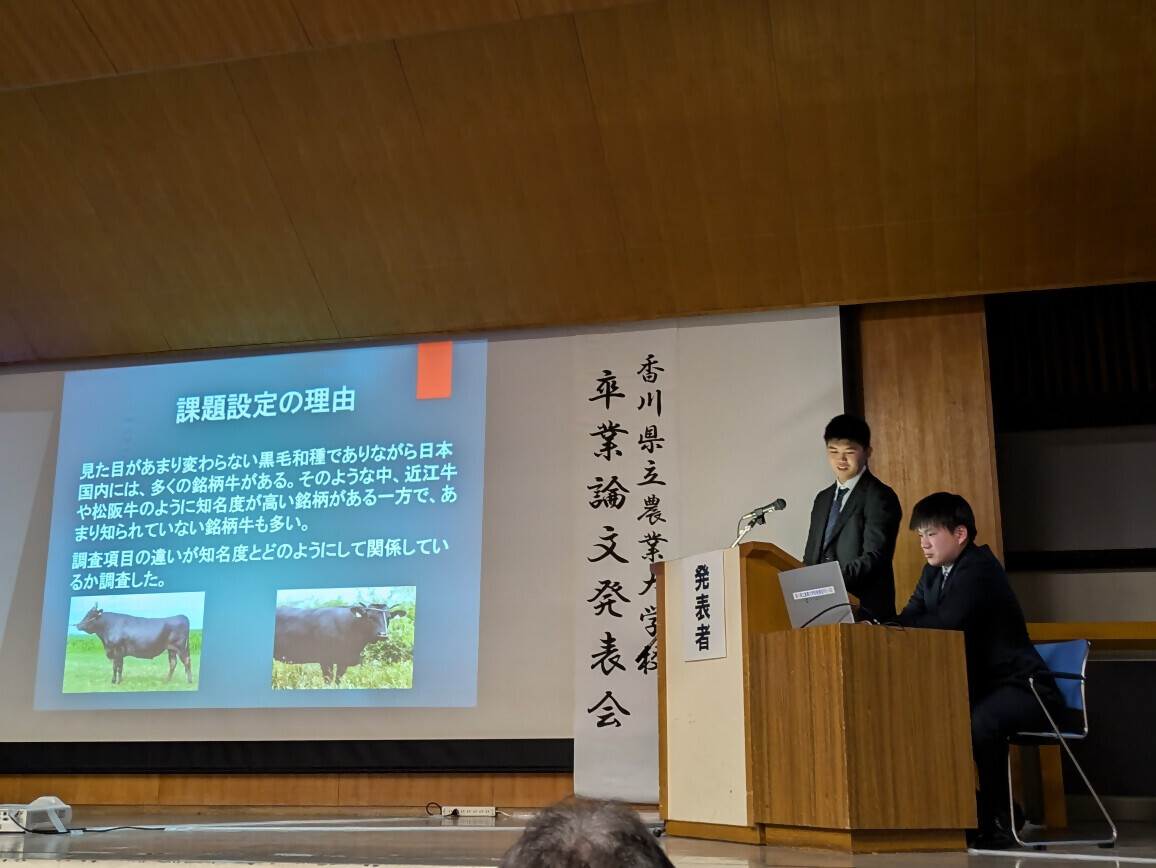 発表