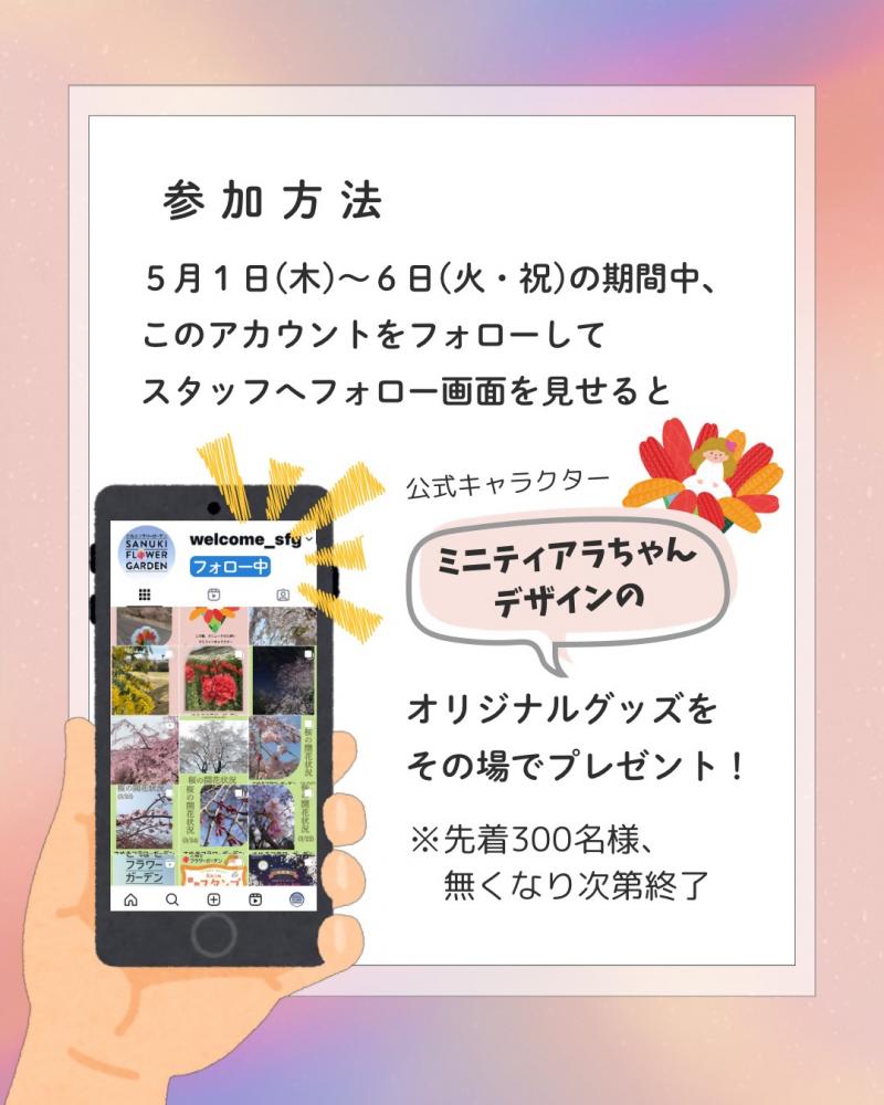 campaign02