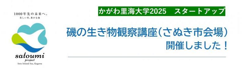 タイトル