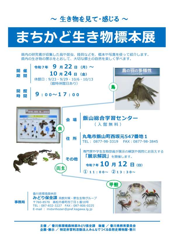 （飯山）まちかどチラシ