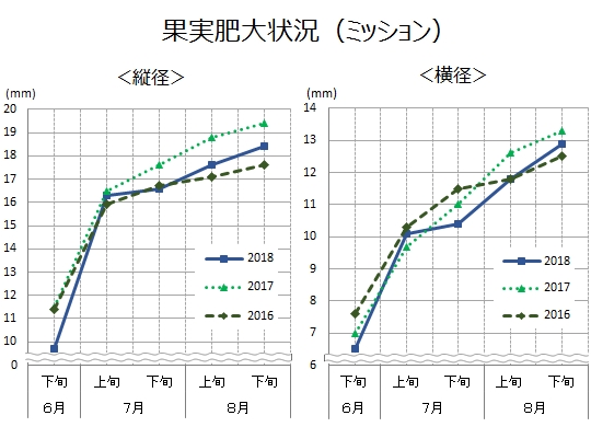 果実肥大状況グラフ