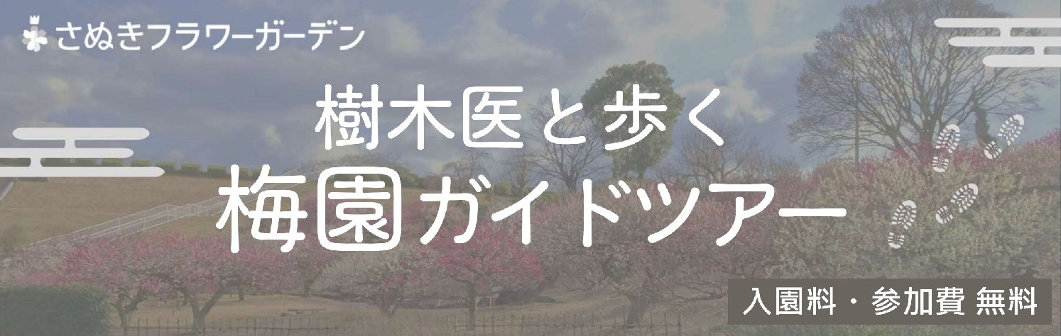 ume_header