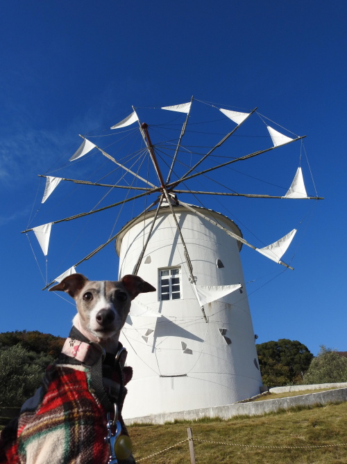 ペットフレンズ2